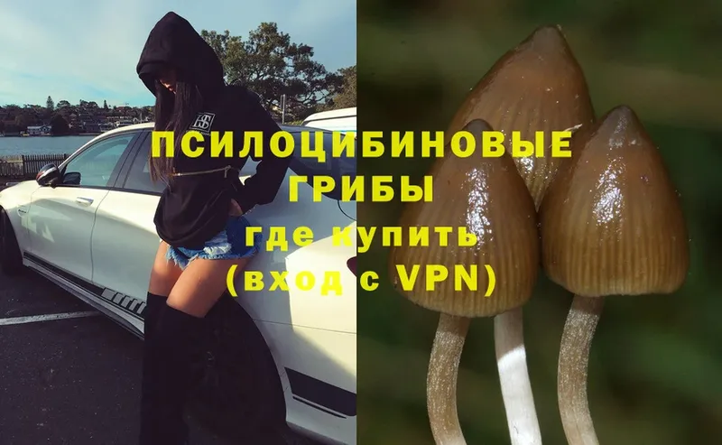 Галлюциногенные грибы Psilocybe  как найти закладки  omg рабочий сайт  Калининец 